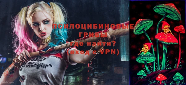молекула духа Алексин