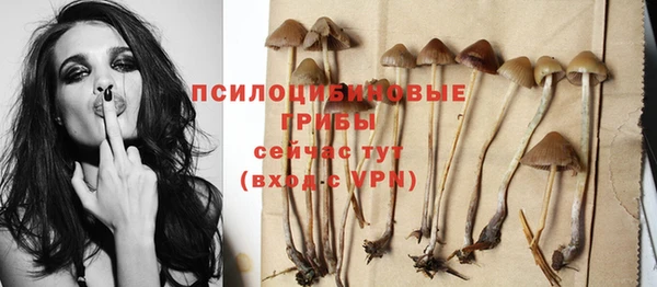 МДМА Абаза