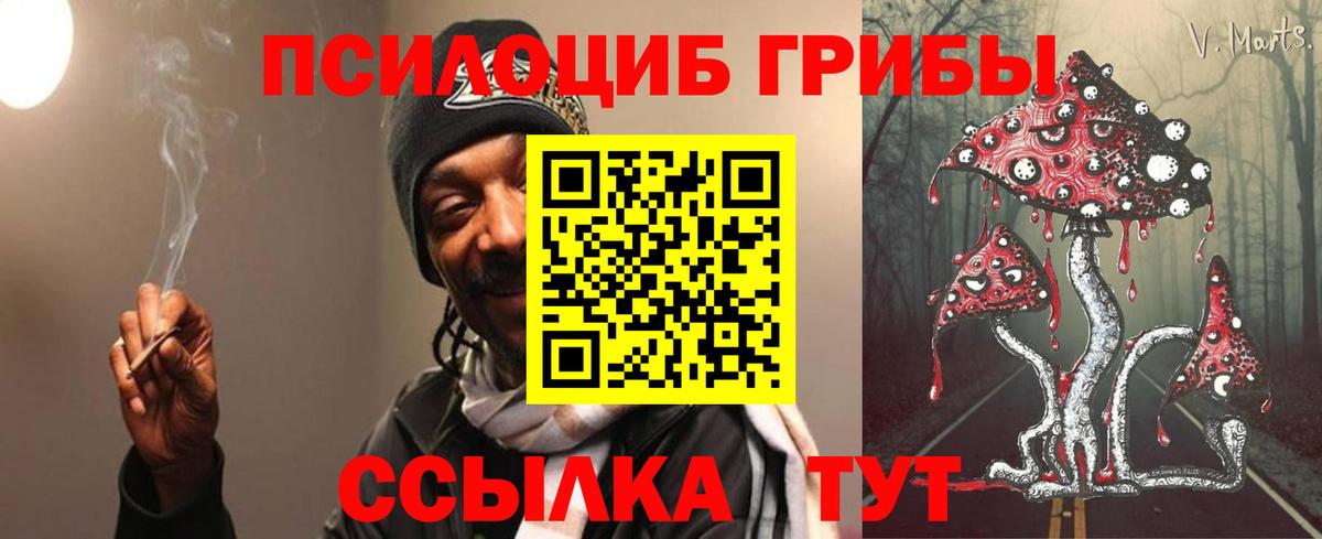 где продают   Вход с VPN  Псилоцибиновые грибы Cubensis  Юрга  Псилоцибиновые грибы прущие грибы 