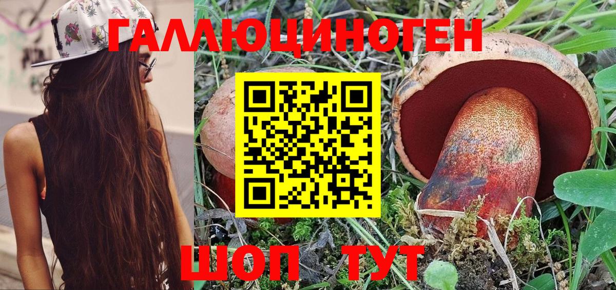 Галлюциногенные грибы Psilocybe Юрга