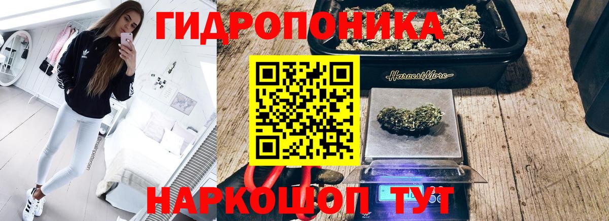 Каннабис VHQ  Шишки марихуана конопля  Вход с VPN  Каннабис OG Kush  Юрга 
